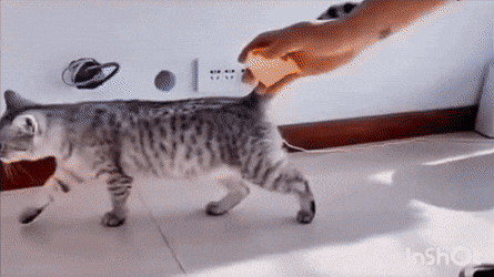 Просто гифки, всякие и&nbsp;разные