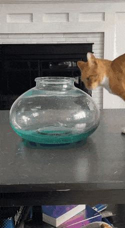 Просто гифки, всякие и&nbsp;разные