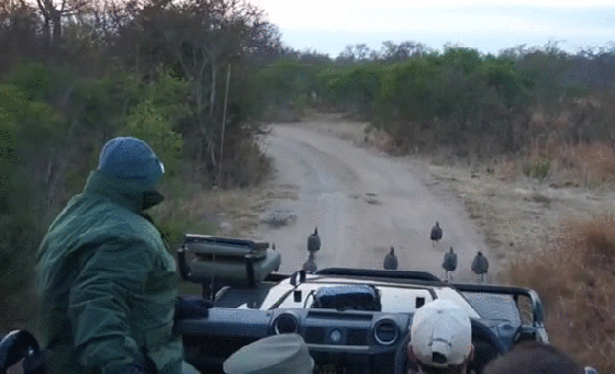 Просто гифки, всякие и&nbsp;разные