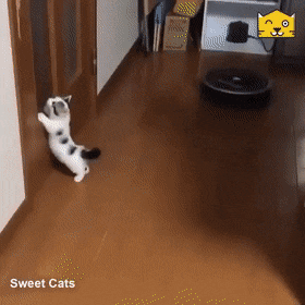 Просто гифки, всякие и&nbsp;разные