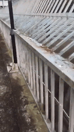 Просто гифки, всякие и&nbsp;разные