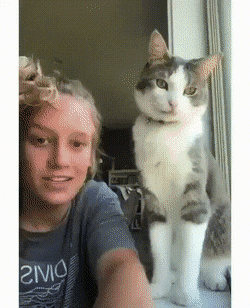 Просто гифки, всякие и&nbsp;разные