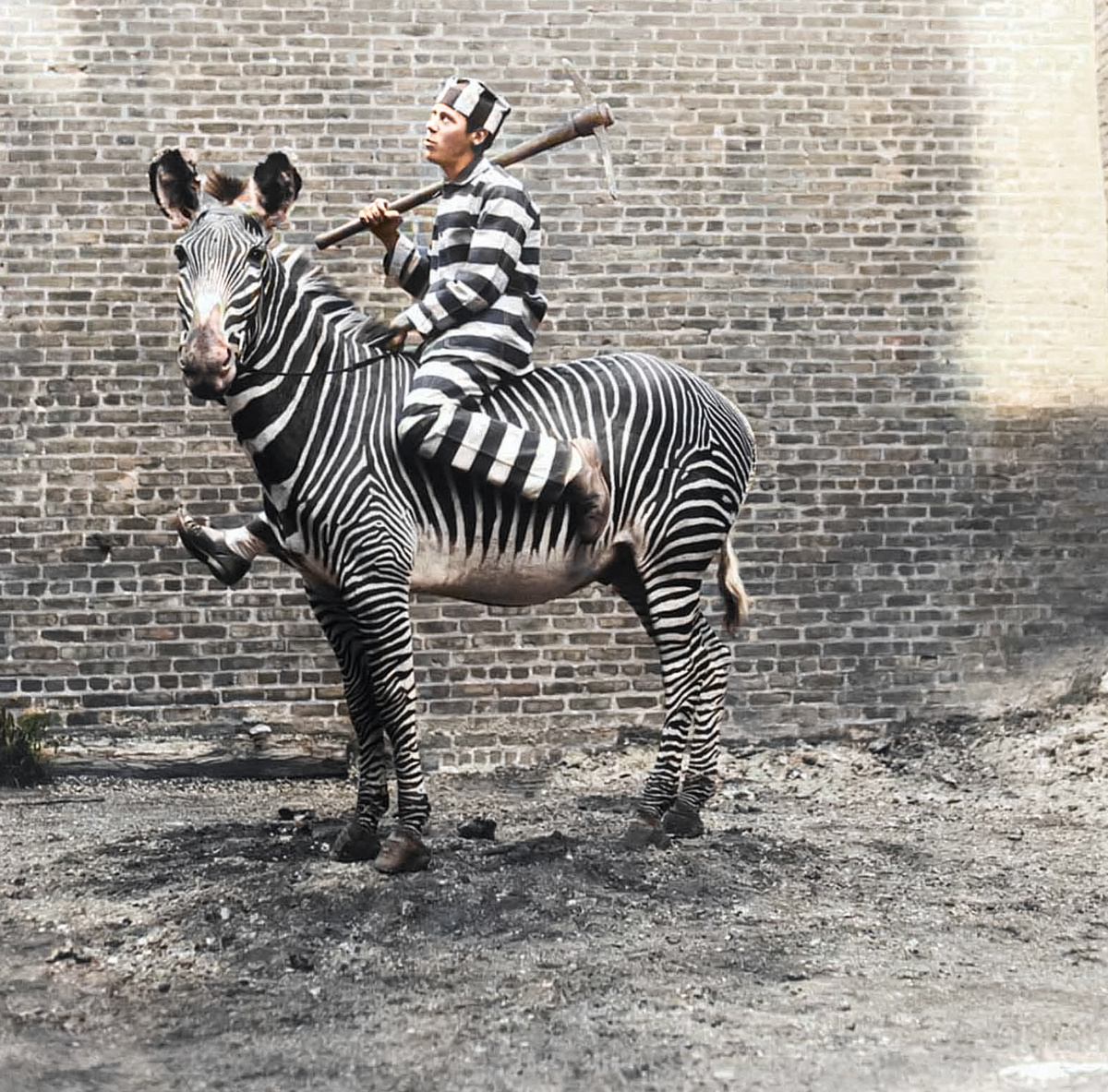 Подборка интересных и необычных фотографий из США