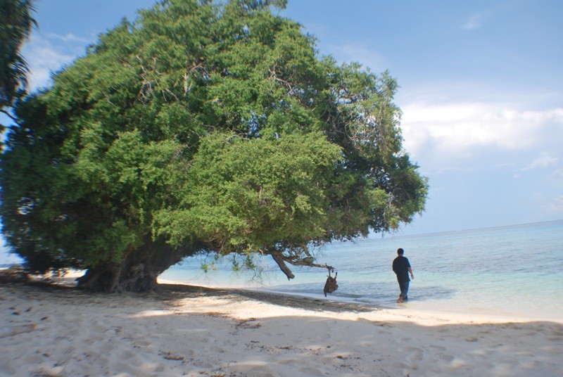 Остров Урсула – райское место для особых обитателей