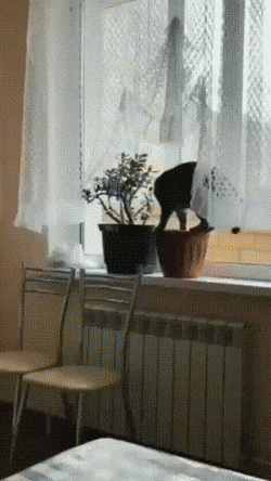Просто гифки, всякие и&nbsp;разные