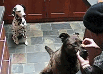 Просто гифки, всякие и разные Просто гифки, всякие и разные