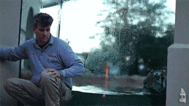 Просто гифки, всякие и разные Просто гифки, всякие и разные