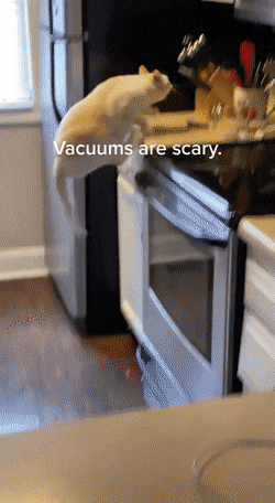 Просто гифки, всякие и разные Просто гифки, всякие и разные