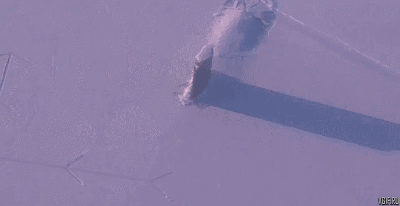 Просто гифки, всякие и разные Просто гифки, всякие и разные