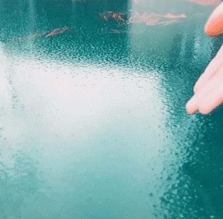 Просто гифки, всякие и разные Просто гифки, всякие и разные