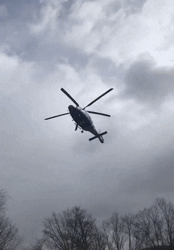 Просто гифки, всякие и разные Просто гифки, всякие и разные