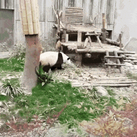 Просто гифки, всякие и разные Просто гифки, всякие и разные