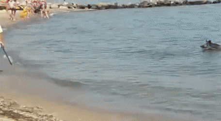 Просто гифки, всякие и&nbsp;разные