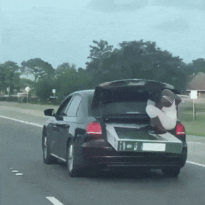 Просто гифки, всякие и&nbsp;разные