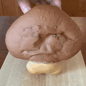 Просто гифки, всякие и&nbsp;разные