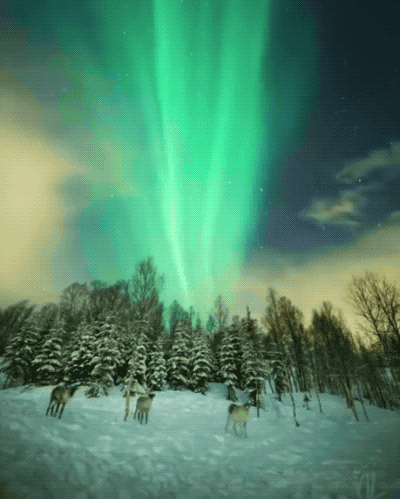 Просто гифки, всякие и&nbsp;разные