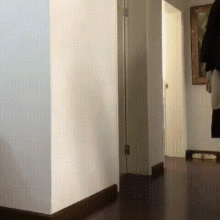 Просто гифки, всякие и&nbsp;разные