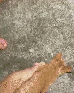 Просто гифки, всякие и&nbsp;разные