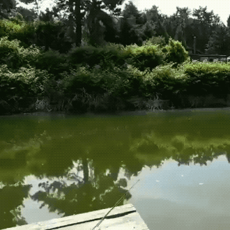 Просто гифки, всякие и&nbsp;разные