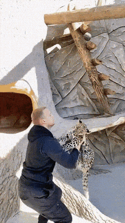 Просто гифки, всякие и&nbsp;разные