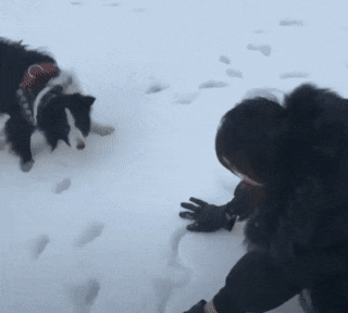 Просто гифки, всякие и&nbsp;разные