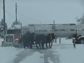 Просто гифки, всякие и&nbsp;разные