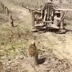 Просто гифки, всякие и&nbsp;разные