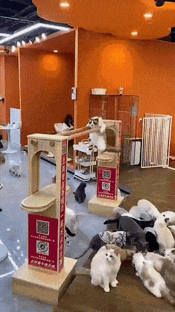 Просто гифки, всякие и&nbsp;разные