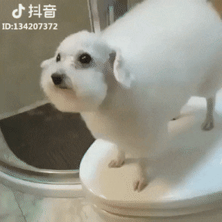 Просто гифки, всякие и&nbsp;разные