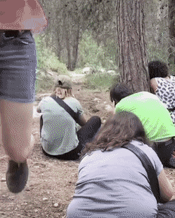 Просто гифки, всякие и&nbsp;разные