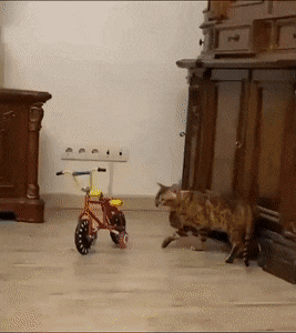 Просто гифки, всякие и разные Просто гифки, всякие и разные