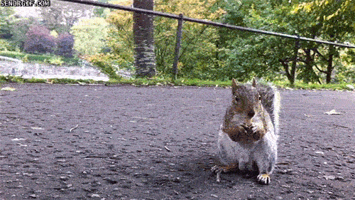 Просто гифки, всякие и&nbsp;разные