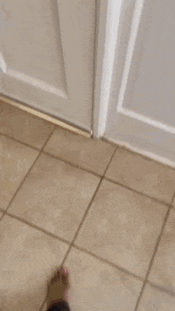 Просто гифки, всякие и&nbsp;разные