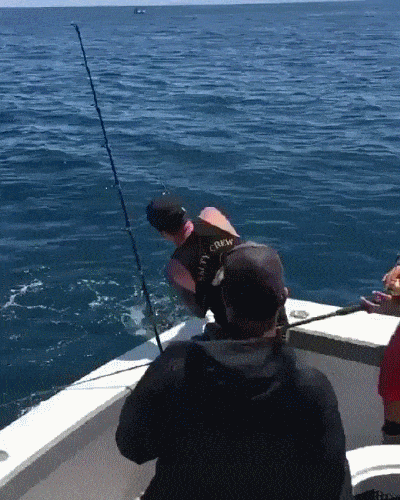 Просто гифки, всякие и&nbsp;разные