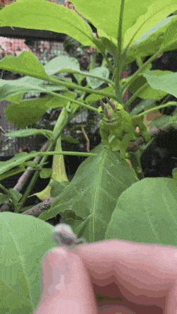 Просто гифки, всякие и&nbsp;разные