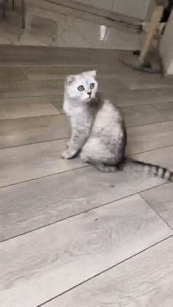 Просто гифки, всякие и&nbsp;разные