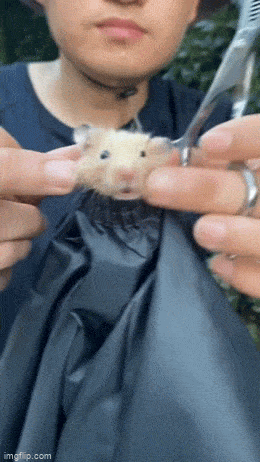 Оно ему надо?