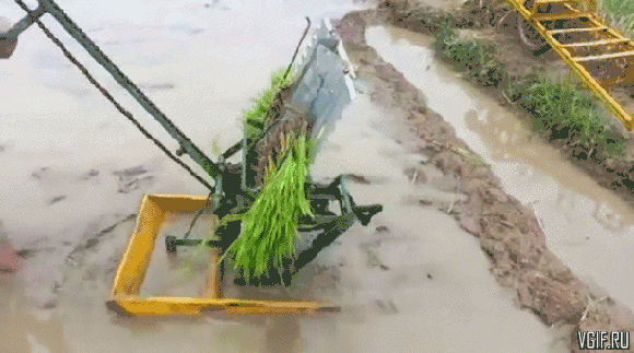 Просто гифки, всякие и разные Просто гифки, всякие и разные