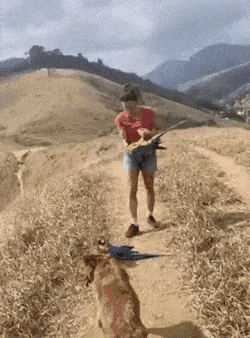 Просто гифки, всякие и разные Просто гифки, всякие и разные