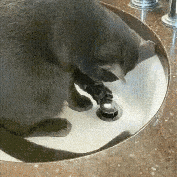 Просто гифки, всякие и разные Просто гифки, всякие и разные