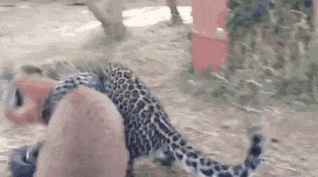 Просто гифки, всякие и разные Просто гифки, всякие и разные