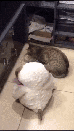 Просто гифки, всякие и разные Просто гифки, всякие и разные