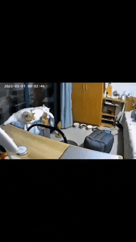 Просто гифки, всякие и разные Просто гифки, всякие и разные