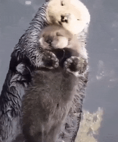 Просто гифки, всякие и разные Просто гифки, всякие и разные