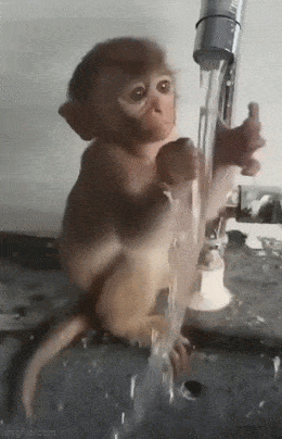 Близка водичка, да не схватишься Близка водичка, да не схватишься