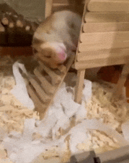 Вот что значит крепкий сон