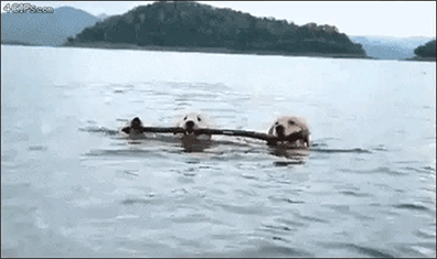 Просто гифки, всякие и&nbsp;разные