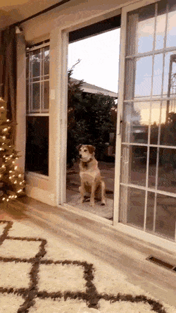 Просто гифки, всякие и&nbsp;разные