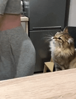 Просто гифки, всякие и&nbsp;разные