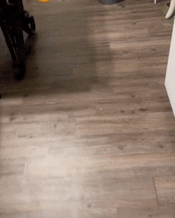 Просто гифки, всякие и&nbsp;разные